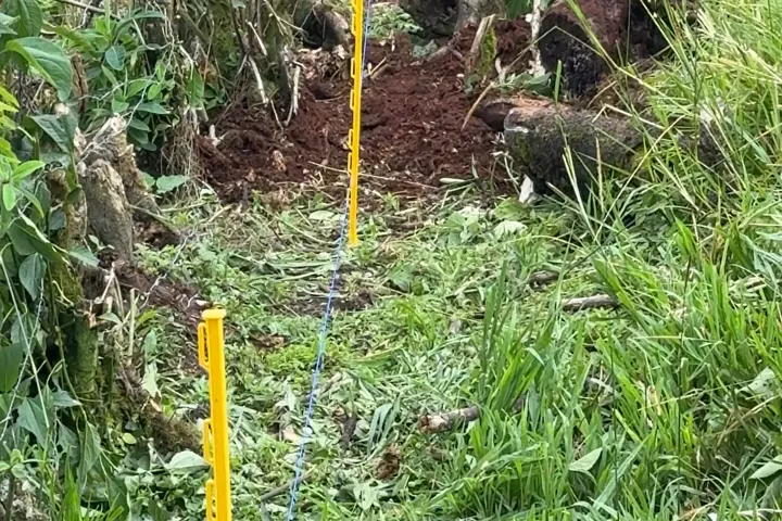 Línea de cerco eléctrico cruzando un terreno en pendiente.